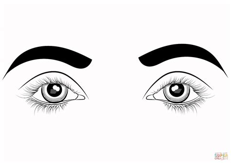 Human Eye Realistic Eye Coloring Pages