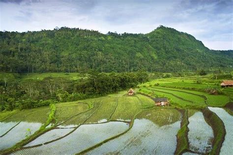 Sidemen Valley In Bali In 2023 Know All About It For Your Holiday