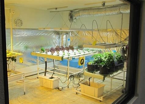 Hydroponic Grow Room The Gardener
