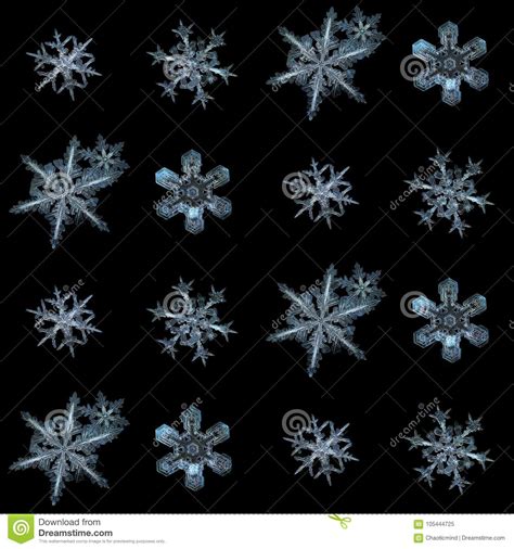 Real Snowflakes Isolated On Black Background Stock Image Image Of