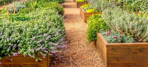 Check spelling or type a new query. 15 Cheap No Grass Backyard Ideas | MYMOVE