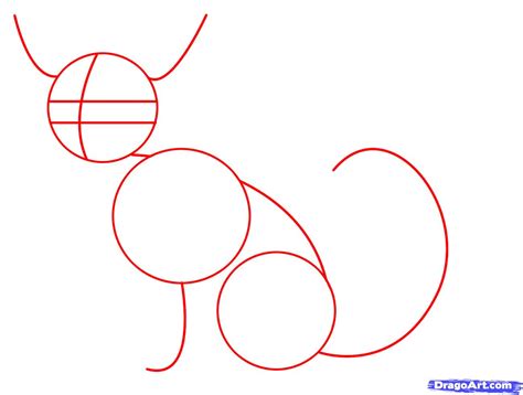 How To Draw A Cute Animal Step By Step Cartoon Animals