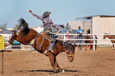 Bucking Bronco Horse At Country Rodeo Stock Photo Adobe Stock