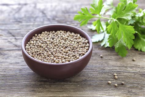 The Health Benefits Of Coriander Seeds Healthfully