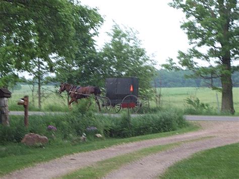 Solve Amish Buggy Augusta Wisconsin Jigsaw Puzzle Online With 80 Pieces