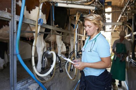 Fdi can also have negative effects in the environment, economy, human privileges of nationals and so on. Dairy farmers fear shortage of migrant workers post-2021 ...
