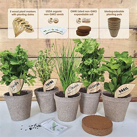 Hapinest Indoor Herb Garden Growing Seed Starter Kit Gardening T