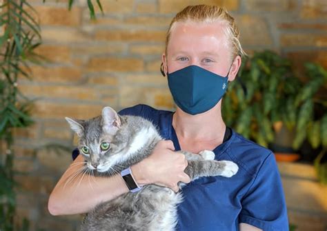921 likes · 7 talking about this · 72 were here. Spring Harbor Animal Hospital | Madison veterinarians