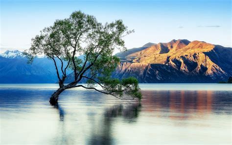 Lake Wanaka Beautiful Reflection New Zealand Wallpaper For Desktop : Wallpapers13.com