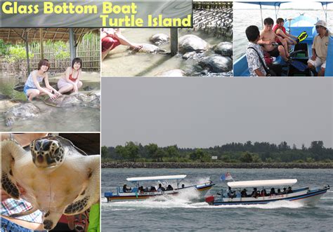 Wisata Pulau Penyu Bali Glass Bottom Boat Turtle Island