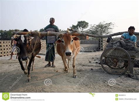 Brick Factory In Sarberia West Bengal India Editorial Stock Image