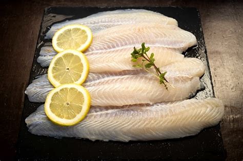 Panga Fillets Stock Photo Download Image Now Animal Clean Color