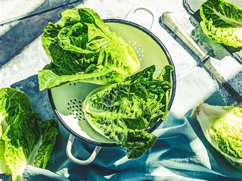 Theres Another Romaine Lettuce Recall In 15 States Due To Possible E