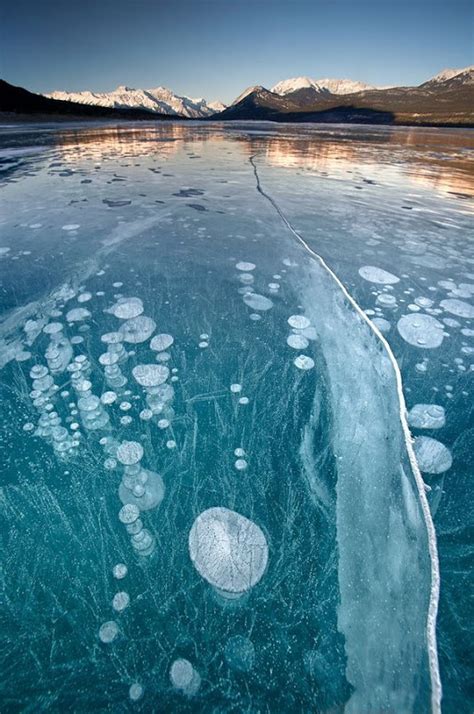 Frozen Air Bubbles In Abraham Lake Alberta Canada Snow Addiction