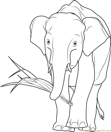 Download elephant mandala coloring page. African Elephant Eating Coloring Page - Free Elephant ...