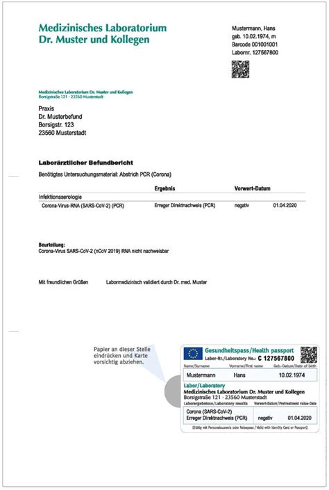 Der test aus dem labor mit schriftlichem befund. Pcr Test Muster - Analyse, Fehler bei den PCR Tests ...