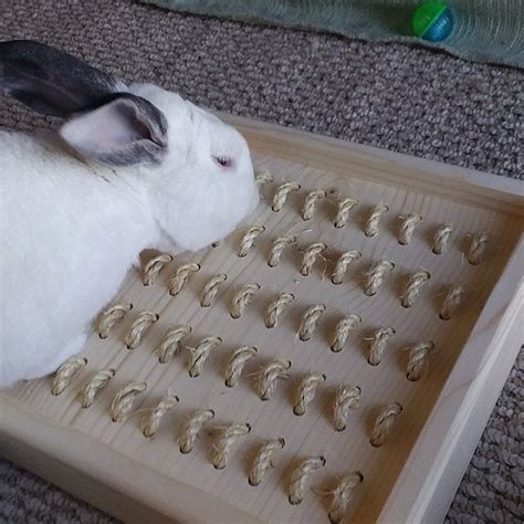 Bunny Rabbit Sisal Digging Box Bunnyrabbitshop