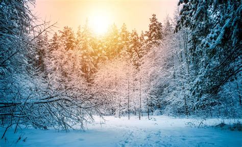 Winter Sun vs Snowy Wonderlands - The 2020 Winter Wishlist - Azure X