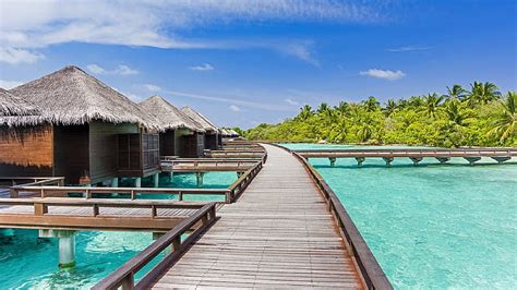 Sheraton Maldives Resort Luxury Bungalows In Water Photo Hd Wallpaper