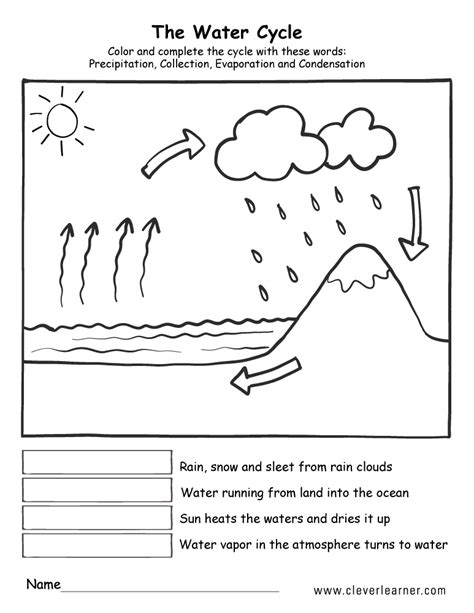 The Water Cycle Worksheets