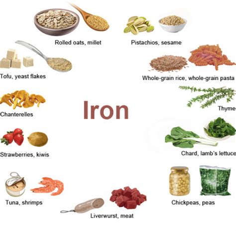 Iron Rich Foods Everything About Iron Medicaregate