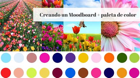 Creando Un Moodboard Con Paleta De Color Integrada YouTube