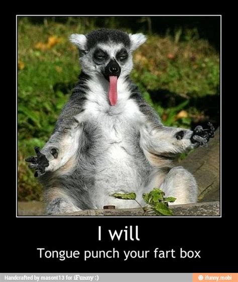 Tongue Punch Your Fart Box I Will Tongue Punch Your Fart Box