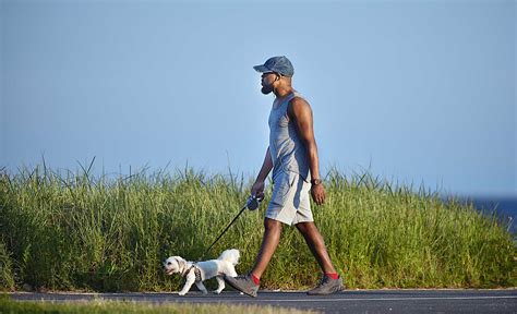 Study Examines Covid Among Dog Walkers