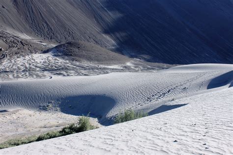 Life In White Sand Cold Desert Ladakh Debabrata Dasgupta Galleries