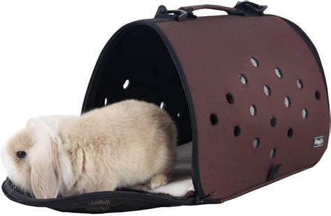 Best Rabbit Carrier Top Choices For 2023
