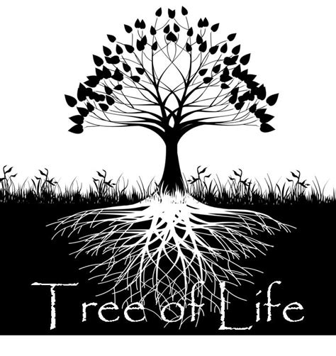 Tree Of Life Cwbcneil
