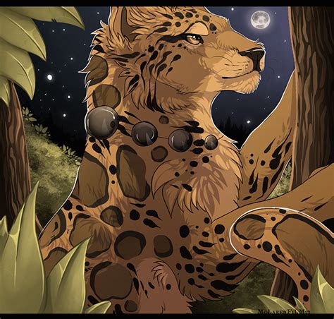 Leopard By Maplespyder On Deviantart