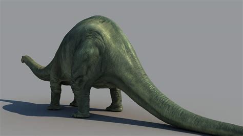 Brontosaurus 3d Model By Astil
