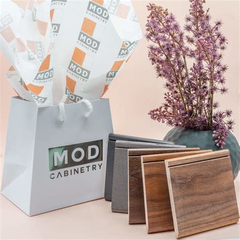 mod cabinetry design and buy online sleek modern design options