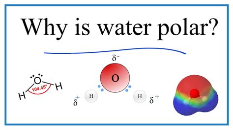 Water Lewis Structure Polarity