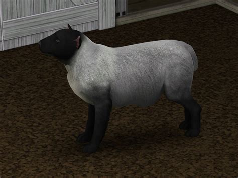 Mod The Sims Sheep For Your Sims Sort Of