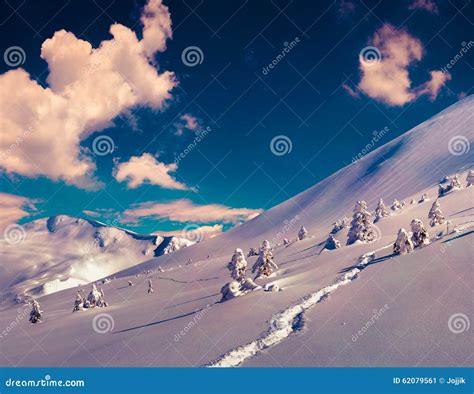 Sunny Winter Morning In The Mountains Stock Image Image Of Alpine