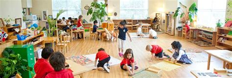 Make classroom organization better, fast and free. How to apply Marie Montessori's rules to increase team ...