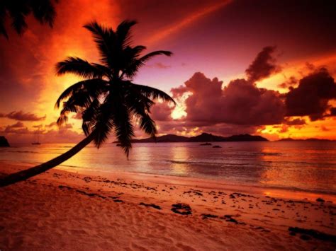 Paradise Sunset Wallpapers Top Free Paradise Sunset Backgrounds Wallpaperaccess