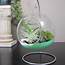 15 DIY Terrarium Projects To Test Out This Spring