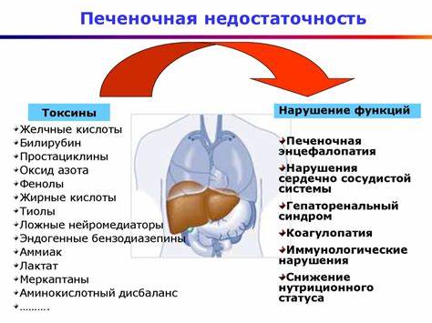 Экстракорпоральная гемокоррекция печеночной недостаточности Картинка - Экстракорпоральная гемокоррекция печеночной недостаточности