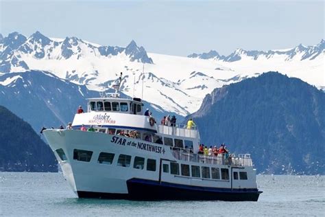 Kenai Fjords Wildlife Cruise With Optional Buffet Lunch Provided By