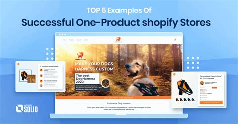 Top 5 Examples Of Successful One Product Shopify Stores Ecomsolid Blog