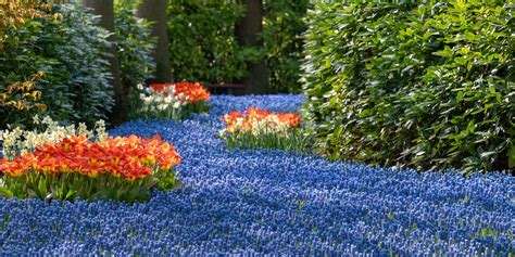 Hollands Keukenhof Gardens In Full Bloom Best Time To Visit