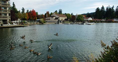 The Oregon Supreme Court Will Soon Decide Who Can Swim In Oswego Lake
