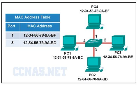 How To Show Mac Address Table On Cisco Switch Bloggingjes