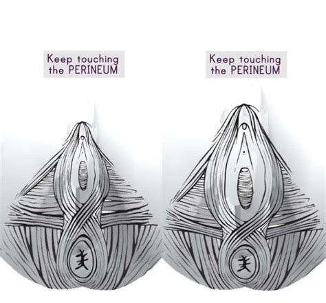 This Underwear Teaches You How To Do Kegel Exercises For A Crazy Strong