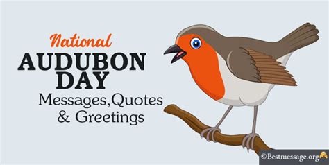 National Audubon Day Messages And Quotes Sample Messages