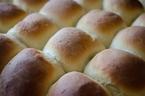 Christmas Traditions Old Fashioned Yeast Rolls Virginia Willis