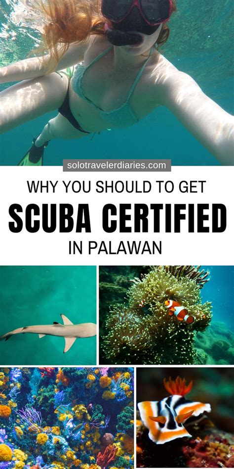 Kohala divers is a 5 star padi training facility and caters to local residents and visitors to earn worldwide recognized dive certifications. Why You Should To Get Scuba Certified In Palawan (hint ...
